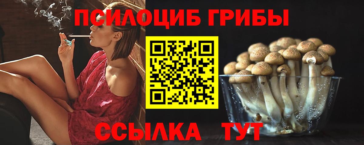 Галлюциногенные грибы Cubensis Белая Калитва